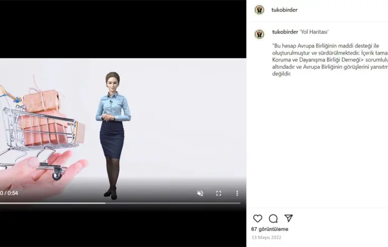 Sosyal medya video içeriği